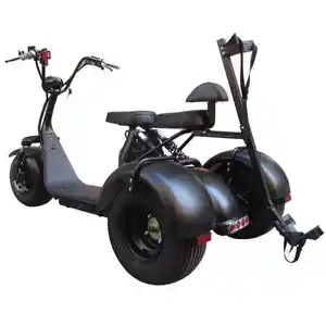 2019 più nuovo 3 ruote fat tire harely scooter con sacca da golf titolare