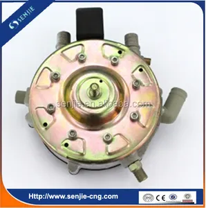 China leverancier lpg conversie kit lpg gas converter