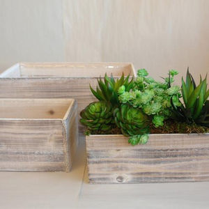 Scatola in Legno per <span class=keywords><strong>Piante</strong></span> Succulente, Centrotavola Floreale per Matrimoni, Vaso Rustico, Scatole in Legno per Decorazioni Nuziali - Product Image 2