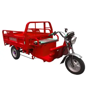 China three wheel motorcycle fashionable electric cargo tricycle for adults