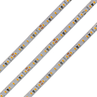 Tira de Luces LED Mini de Cobre Más Vendida de Alibaba, 2216 210leds/m 24V Blanco Cálido 2700K/3000K/4000K 5mm Delgada IP65