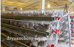 Cages <span class=keywords><strong>de</strong></span> <span class=keywords><strong>caille</strong></span> automatiques commerciales pour <span class=keywords><strong>caille</strong></span> <span class=keywords><strong>de</strong></span> ferme (type A, vente en gros, boîte d'élevage <span class=keywords><strong>de</strong></span> bonne qualité - Product Image 2