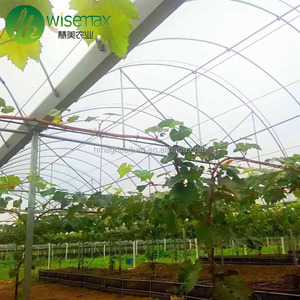 Nông nghiệp ống thép mạ kẽm nóng máng xối kết nối nhà kính - Product Image 6