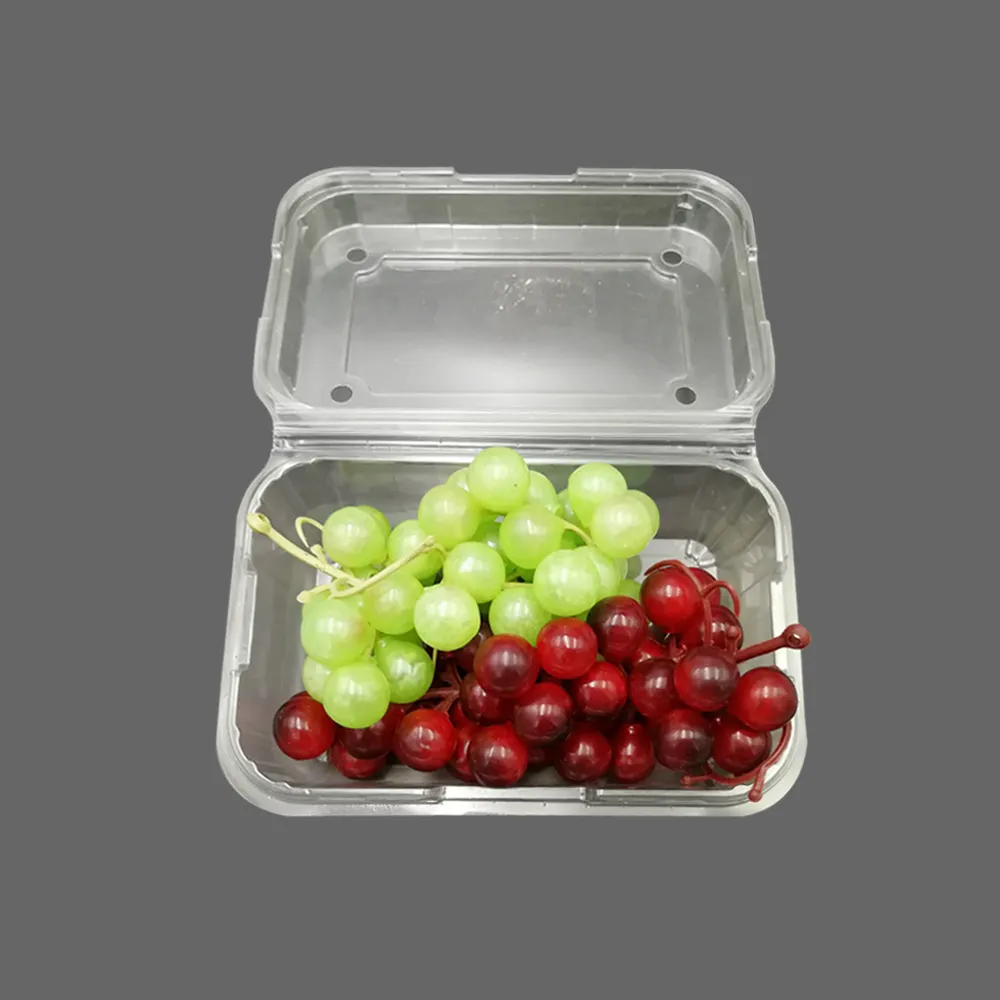 Recipiente de plástico para animais, bandeja transparente de frutas ou legumes