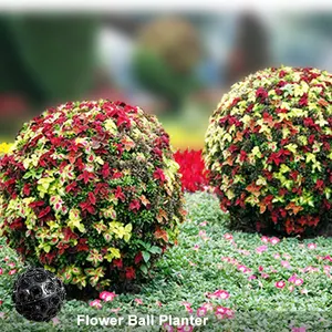 迪拜花园心花盆花盆花园供应商