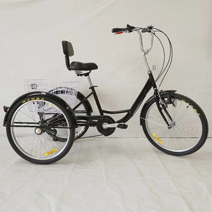 Prix du <span class=keywords><strong>tricycle</strong></span> aux Philippines/vélo électrique à trois roues pour adultes/<span class=keywords><strong>tricycle</strong></span> pour 2 adultes - Product Image 5