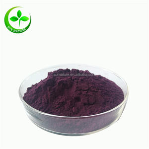 Высококачественный органический фруктовый экстракт, порошок черничного сока - Product Image 1
