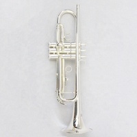 OEM Orchestra Trompeta Trumpet in Bb China Made Brass Body Trumpet Instrument Silver Plate Tromba