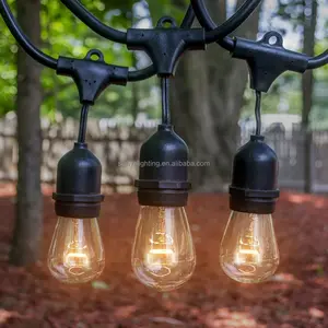 Europäische Café-Terrasse, die wasserdichte Globus-LED-Lichterketten im Freien mit Vintage-Edison-Glühbirnen hängt