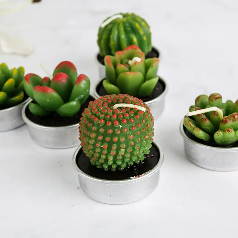 Handmade Succulent Plants Shaped Small Candle Flower Decoration Carton Customized Logo Paraffin Wax Church Candle Art Candle