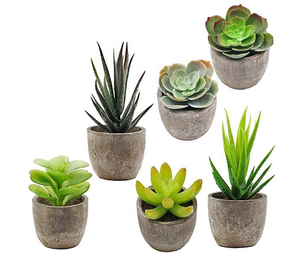 Déco maison de haute qualité mini Papier Mâché pâte <span class=keywords><strong>gris</strong></span> artificiel en pot d'aloès plantes succulentes - Product Image 2