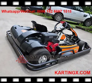 250cc adults racing go kart for sale LIFAN/ ENGINE 4 STROKE FOR RENTAL