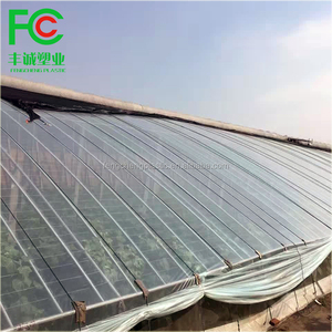 PE <strong>Greenhouse</strong> <strong>Film</strong>, <strong>Etfe</strong> <strong>Greenhouse</strong> <strong>Film</strong>, Tunnel Plastic <strong>Greenhouse</strong> <strong>Film</strong> Agriculture - Product Image 6