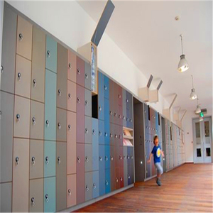 Brikley ออกแบบที่สวยงามวิทยาลัยนักเรียน Hpl ตู้เก็บของ - Product Image 1