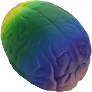 Hot Sale High Quality Cheap Customized Rainbow Brain Stress ToyためWholesale