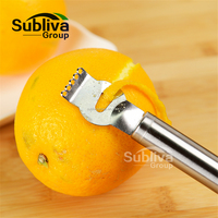 Épluche-fruits en acier inoxydable, râpe à zeste d'orange et citron, à poignée en acier inoxydable