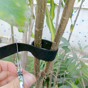 Fita De Fixação Abraçadeiras reutilizáveis <span class=keywords><strong>3</strong></span>/4-Inch Dupla Face Rolo de <span class=keywords><strong>Loop</strong></span> Gancho - Product Image 6