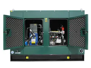 Uso della fabbrica CE 30kw 40kw 50kw 60kw 400kva 500kva 1000kw chp generatore silenzioso di backup del gas naturale silenzioso