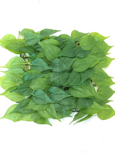 Super vert et <span class=keywords><strong>doux</strong></span> en plastique artificielle <span class=keywords><strong>gazon</strong></span> herbe <span class=keywords><strong>faux</strong></span> herbe rhodes herbe - Product Image 2