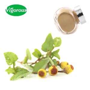 Free samples best price spilanthes acmella extract/pure acmella oleracea extract