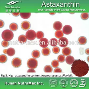 Astaxanthine, de poudre astaxanthine, astaxanthine naturelle