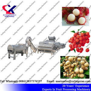 ランブタンピーリングおよびピッティングマシン前処理生産ライン剥離除去機 - Product Image 2