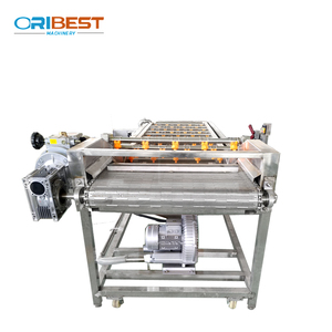 Débit d'eau à haute pression machine à laver les légumes à <span class=keywords><strong>prix</strong></span>/<span class=keywords><strong>carotte</strong></span> <span class=keywords><strong>prix</strong></span> <span class=keywords><strong>de</strong></span> machine à laver/gingembre laveuse - Product Image 3