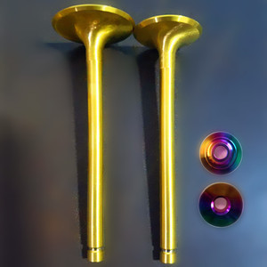 Cho Nissan Patrol TB48 TB48E Y60 Y61 4.8L TB48DE Diesel Single Springs Chất Lượng Cao Racing Performance Tùy Chỉnh Mùa Xuân - Product Image 2