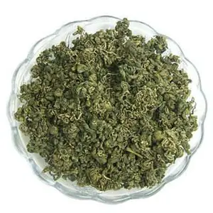 Campione gratuito di erbe medicinali a sette foglie Gynostemma Pentaphylla tè alle erbe organico Jiaogulan