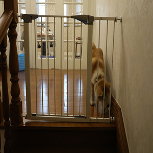 ASTM F1004-16B approuvé bébé <span class=keywords><strong>escalier</strong></span> <span class=keywords><strong>porte</strong></span> en métal - Product Image 3