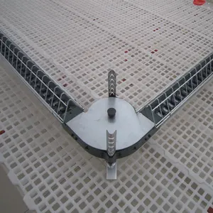 Poultry Automatic Feeder Chain Feeding System for Broiler and Breeder Hens