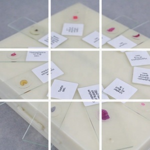 Portaobjetos de Microscopio Preparados para Microbiología de <span class=keywords><strong>Hongos</strong></span> YULIN, 100/50/26/25/15/10 Piezas, Caja de Portaobjetos de Madera o Plástico - Product Image 5