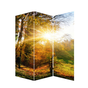 Mamparas de decoración para el hogar y divisores de habitaciones, artículos de madera con luz Led para <span class=keywords><strong>sala</strong></span> de estar, diseño de partición para <span class=keywords><strong>sala</strong></span> de estar - Product Image 1