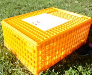 Prix promotionnel grands paniers de rotation de volaille PP durables et plus solides, boîtes de transport, cages de transport, etc. - Product Image 4