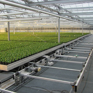 New Hydroponic Ebb and Flow Tray Rolling <strong>Bench</strong> for <strong>Greenhouse</strong> - Product Image 2