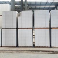 Blocs de béton léger Blocs AAC Blocs ALC pour murs