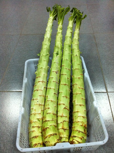 Fresco di Verdure Cinesi Asparagi Lattuga E Colza In Vendita a Caldo - Product Image 6