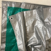 Bâche tissée en PE imperméable et résistante aux UV, tissu léger pour l'agriculture et l'industrie
