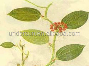 Extracto de raíz de sarsapogenina orgánica, polvo de sarsapogenina, suministro de fábrica - Product Image 5
