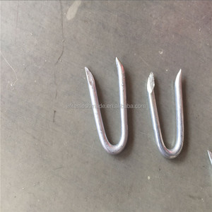 Electro galvanizado Grapas Cerca De Herradura <span class=keywords><strong>clavos</strong></span> de calibre 9 - Product Image 4