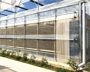 Multifunctional Green Houses Agriculture Easily Assembled Poly Tunnel Agriculture Greenhouse For Sale