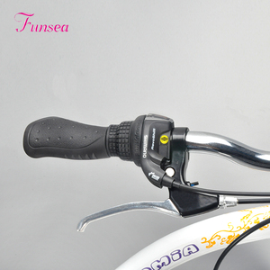 26 Pouce En Acier Coloré Cadre Lady Ville Vélo Route Vélo CTB Vélo pour Voyager - Product Image 4