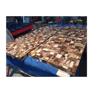 Table en bois de jade naturel, plaque de finition en bois pétrifié