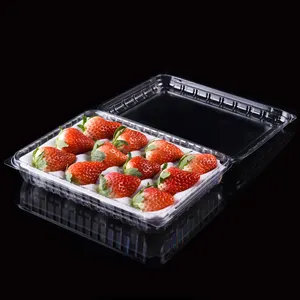 Aufbewahrung behälter für frisches Obst Klare Einweg-Obst verpackung aus Kunststoff für Erdbeeren