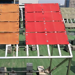 Pinturas de <span class=keywords><strong>poliurea</strong></span> en aerosol para construcción de techo/terraza, gran oferta, impermeabilización - Product Image 6
