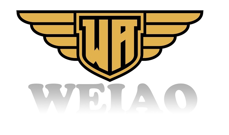 Ningbo Weiao Motor Co., Ltd. logo