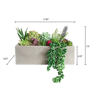 Set di 13 <span class=keywords><strong>Piante</strong></span> Succulente <span class=keywords><strong>Artificiali</strong></span> Assortite di Alta Qualità in Vaso di Cemento Rettangolare Fatto a Mano, Ecologico e Rustico - Product Image 4