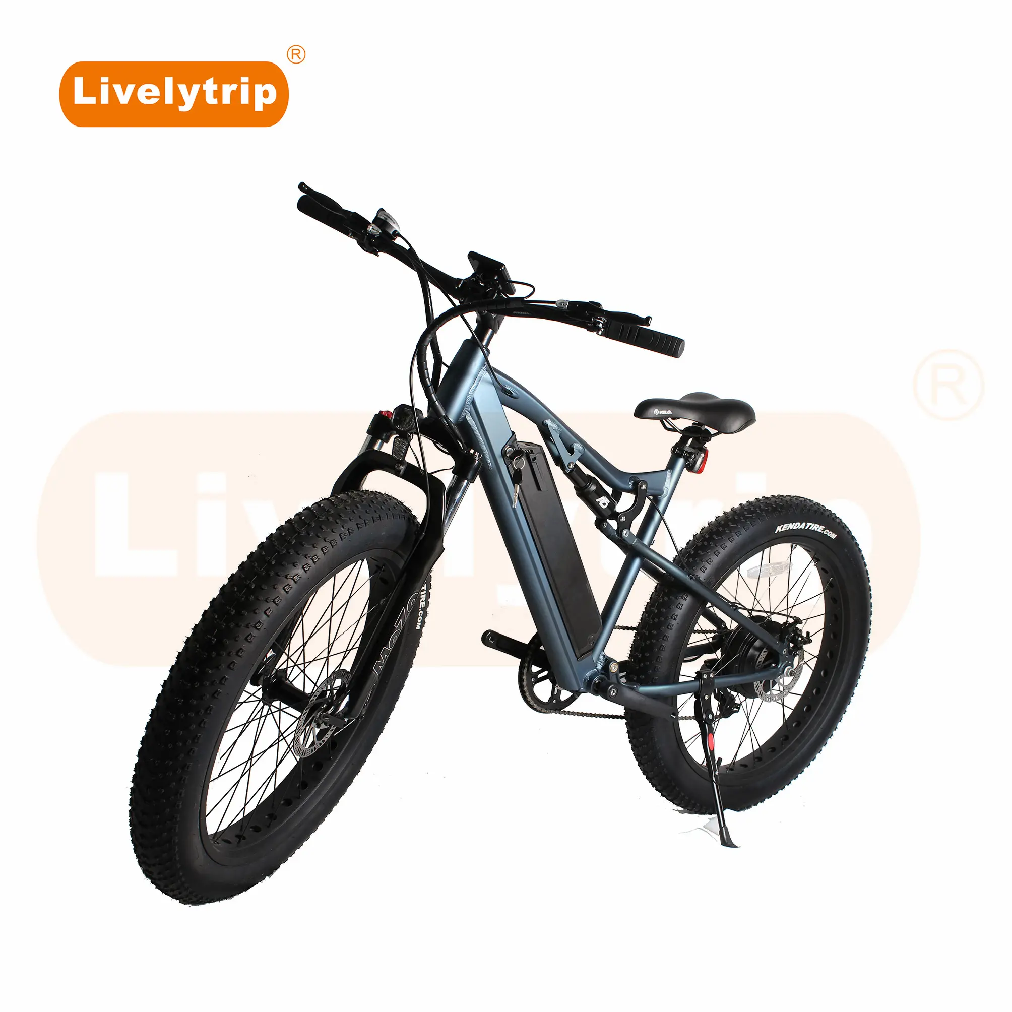2019 New Model Full Suspension Fat Wheel Electric Snow / Mountain Bike For Sale
