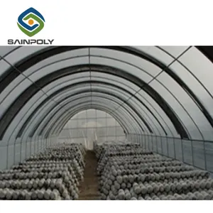 Agricultural Greenhouse Grow Tents Agricultural Mushroom Plastic Film Tunnel Greenhouse Structure For Sale