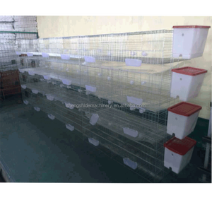 SSDราคาถูกและมีคุณภาพสูงเด็กลูกไก่กรงไก่ - Product Image 4